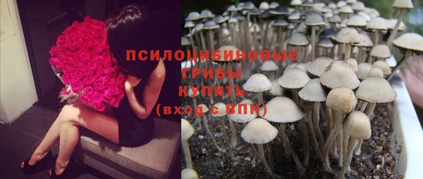 мет Кукмор