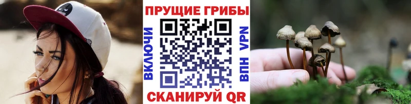 Галлюциногенные грибы MAGIC MUSHROOMS  MEGA как войти  Михайловка  сколько стоит 